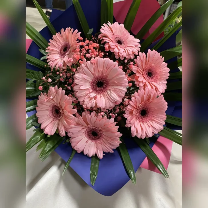 Subtelny bukiet z dużych, jasnoróżowych gerber i gipsówki, podkreślony ciemnozielonymi liśćmi. Całość otacza elegancka granatowo-różowa bibuła, nadając mu wyjątkowy charakter.