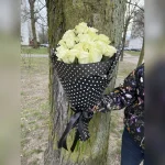 Wachlarzowo ułożone białe róże w czarnym rożku z bibuły w białe grochy, przewiązane czarną kokardą – elegancka, leżąca kompozycja kwiatowa.