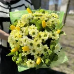 Osoba trzymająca duży, okrągły bukiet z białą margerytką i żółtymi kwiatami, otulony jasnozieloną bibułą – świeża i naturalna kompozycja.